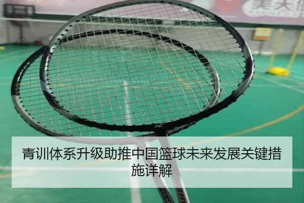青训体系升级助推中国篮球未来发展关键措施详解